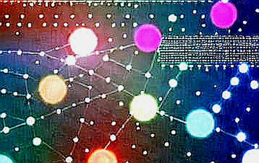Khi sân cỏ vắng bóng crypto: 50 triệu euro chuyển nhượng và bài học từ on-chain Khi sân cỏ vắng bóng crypto: 50 triệu euro chuyển nhượng và bài học từ on-chain